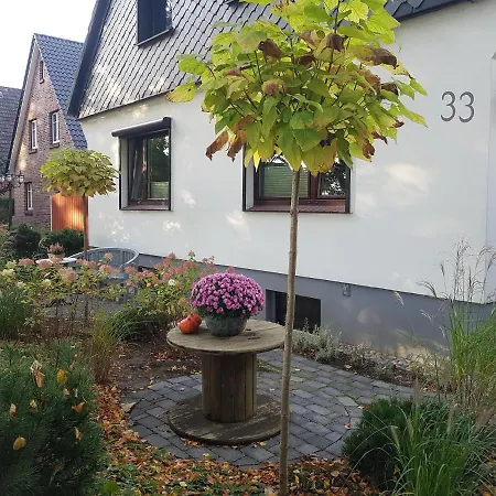 Апартаменты Ferienwohnung-haus Holly